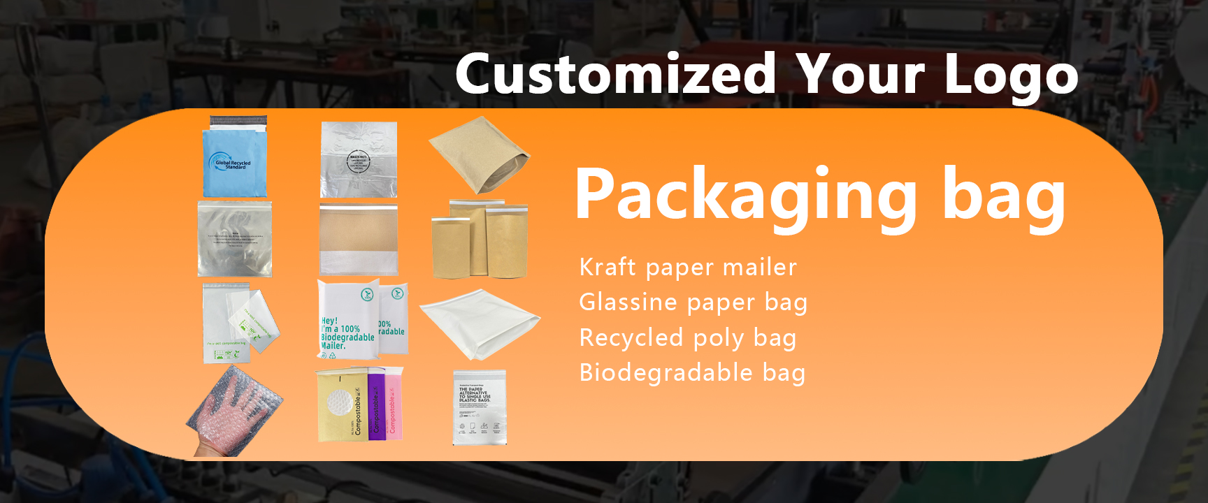 主ภาพที่2